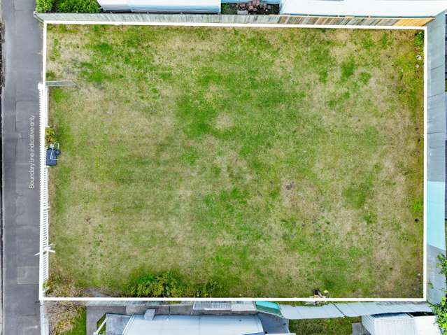 171 Carlyle Street Napier South_3