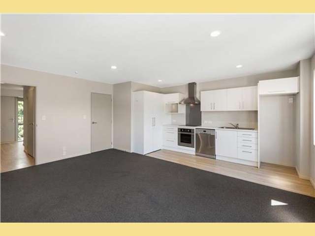 549 Cashel Street Linwood_2