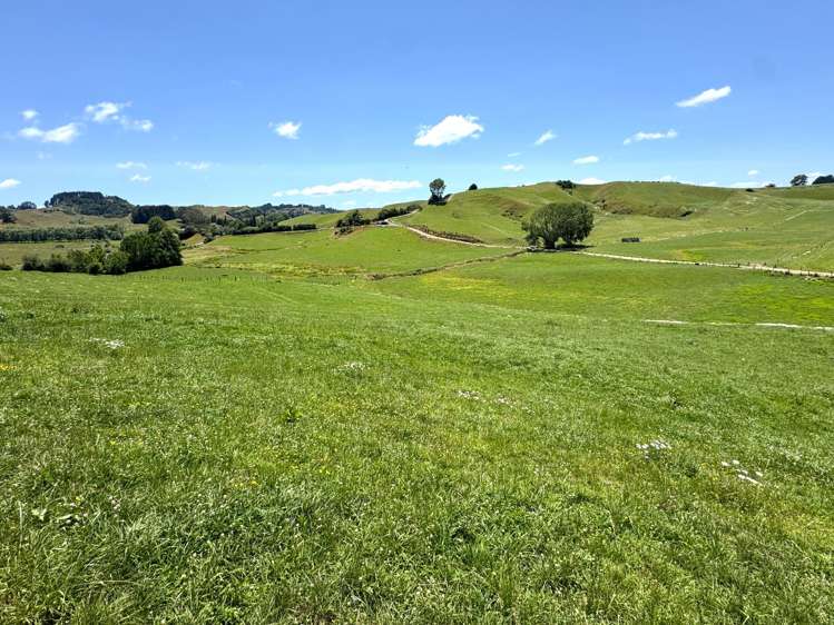 219 Waitomo Valley Road Otorohanga_7