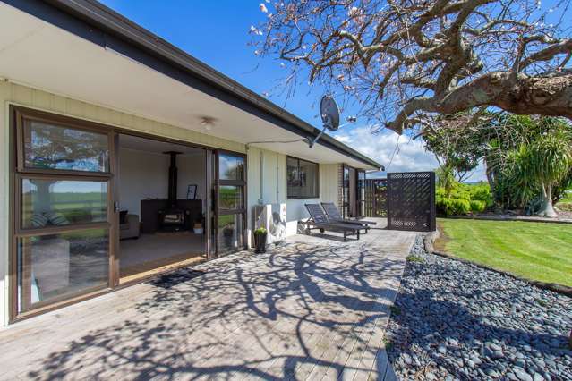 230 Hydro Road Edgecumbe_2