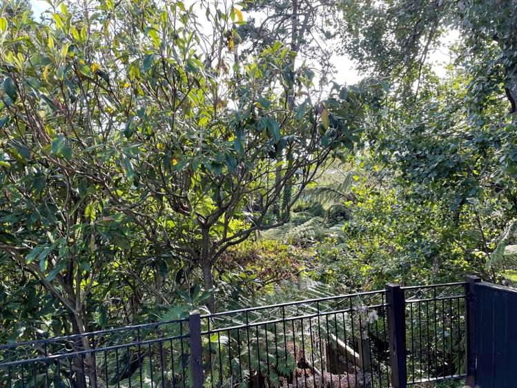 34 Urlich Avenue Melville_11