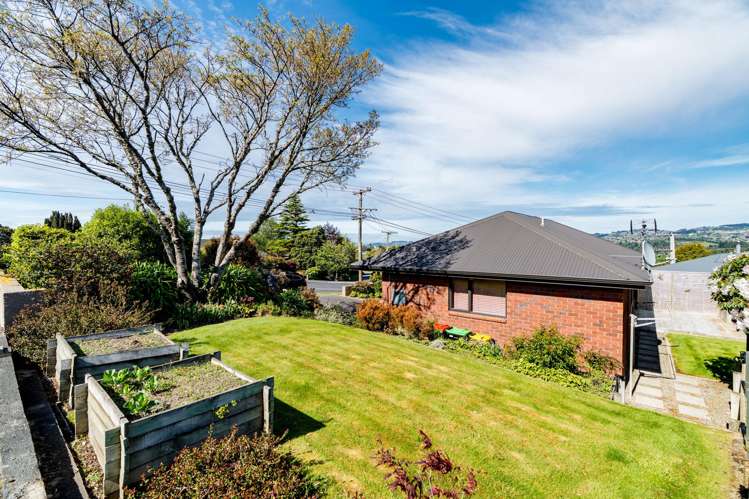 13 Campbells Road Pine Hill_18