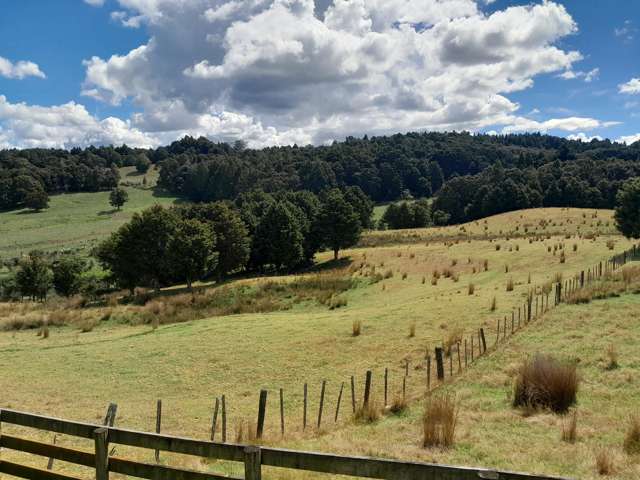596 Waimate North Road Kerikeri_3