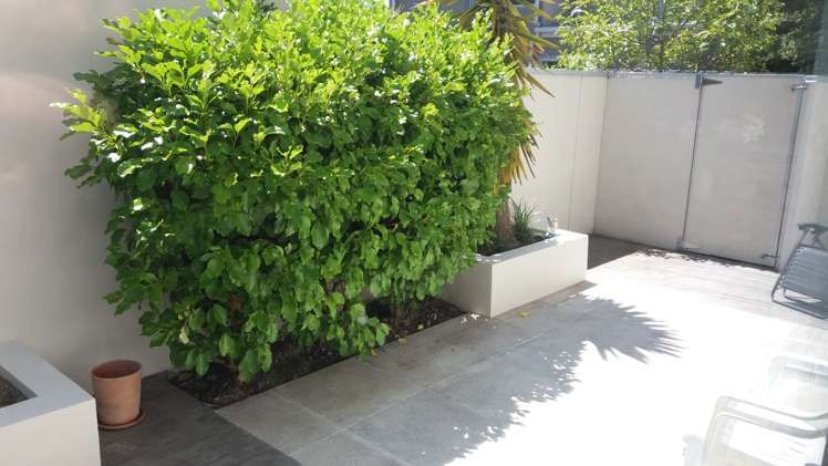 86b Canon Street Saint Albans_6