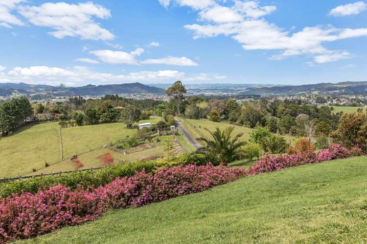 314 Vinegar Hill Road Kauri_23