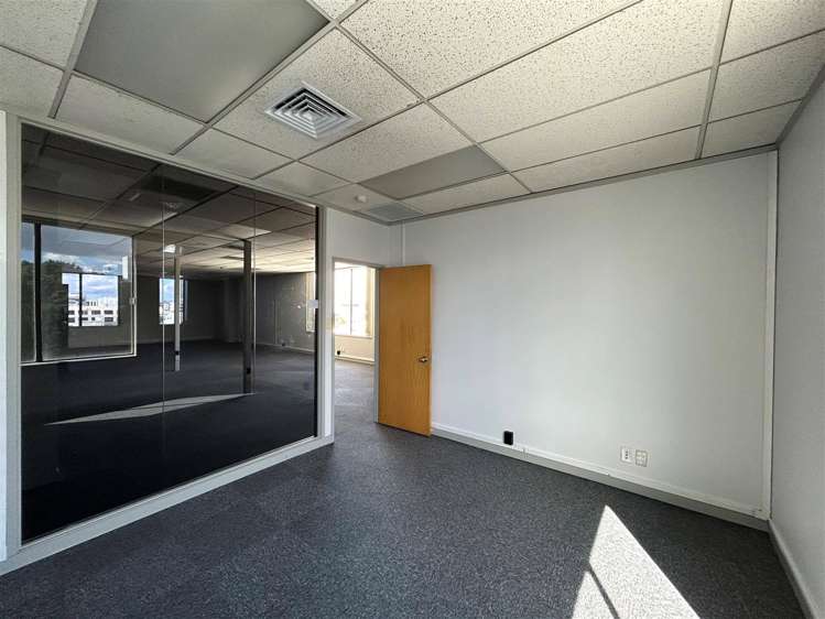 391-393 Khyber Pass Road Newmarket_9