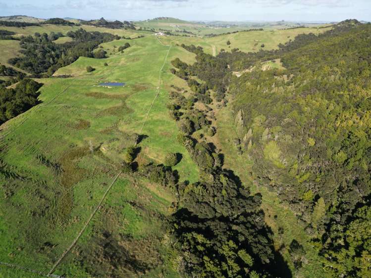 583 Lusk Road Ruawai_7