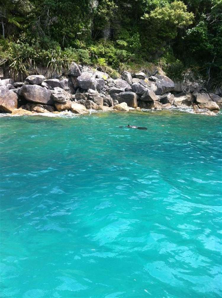 29 Awaroa Inlet Awaroa Bay_42