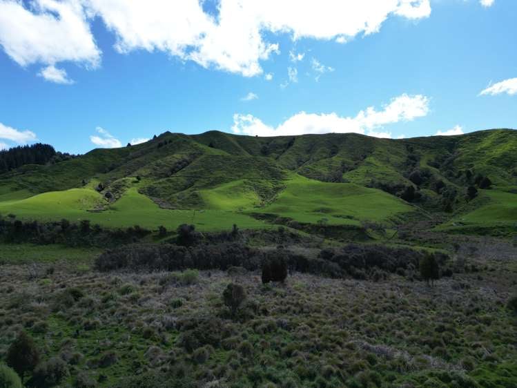 3212a State Highway 4 Raurimu_5