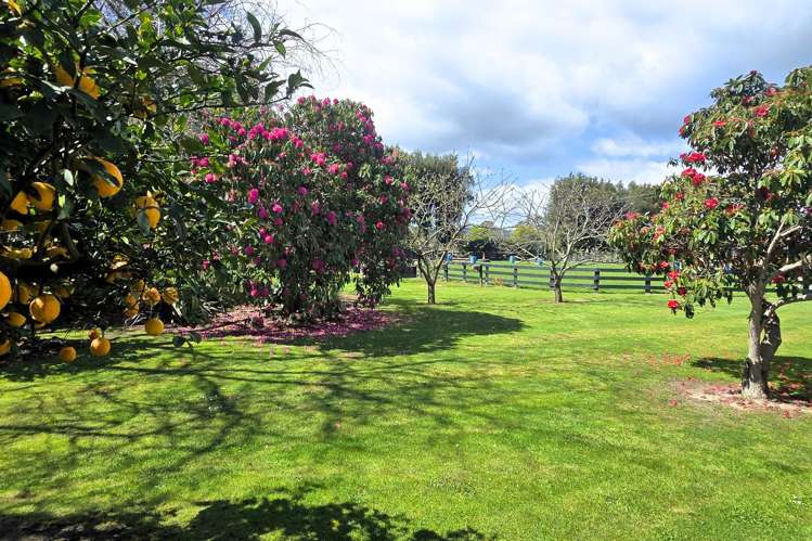314 Te Rahu Road Whakatane_22