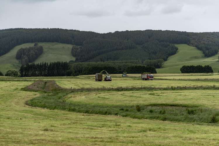 1599 Hundred Line Road East Winton_7