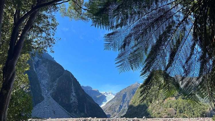 Betsey Jane Eatery & Bar Fox Glacier_2