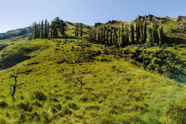 Breathtaking section north of Queenstown