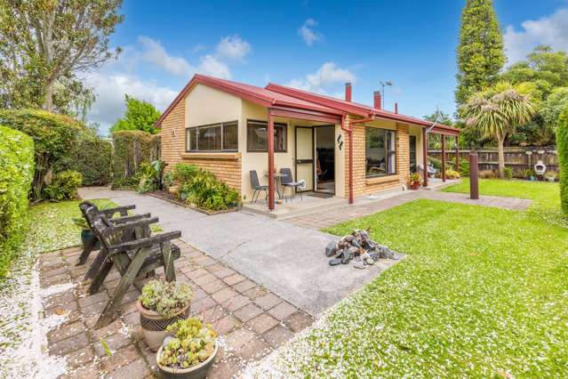 25 Bailey Avenue Claudelands_4