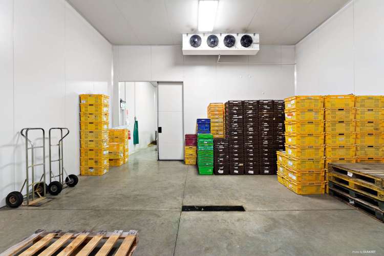 659 Harrisville Road Pukekohe East_7