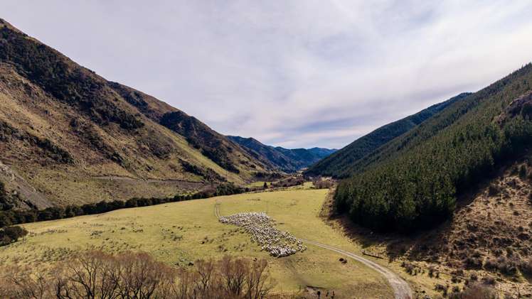 4098 Waihopai Valley Road Waihopai Valley_1