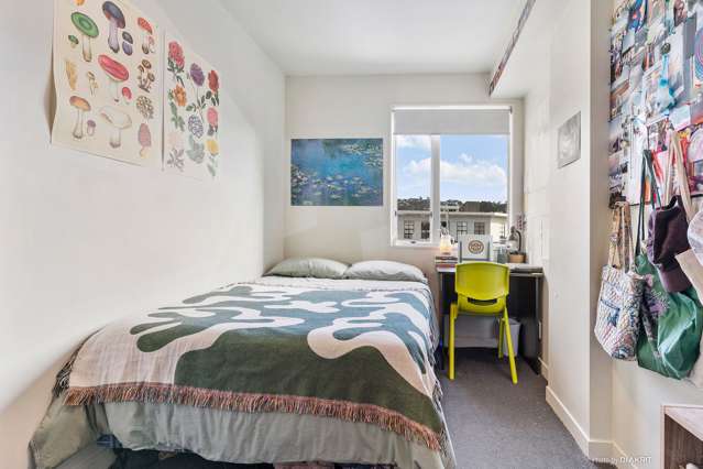 7a/242 Taranaki Street Mount Cook_4
