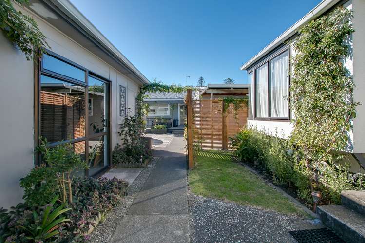 49 Mcgrath Street Napier South_24