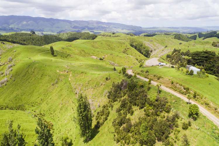 Finnis Road Pohangina_7