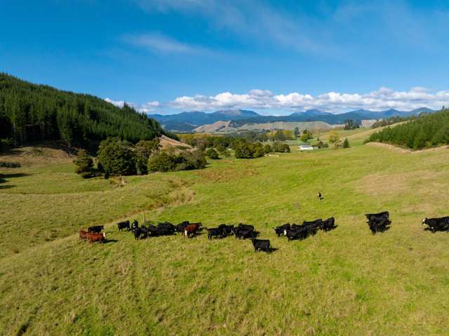 229 Teapot Valley Road Brightwater_2