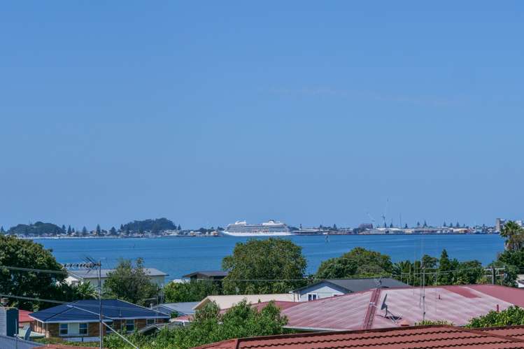 20 Laing Place Otumoetai_12