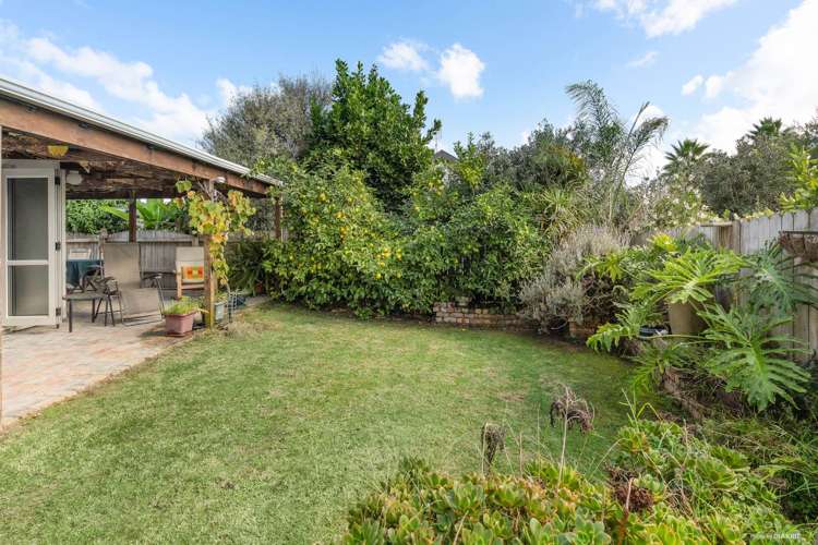 12 Lothian Brae Wattle Downs_19