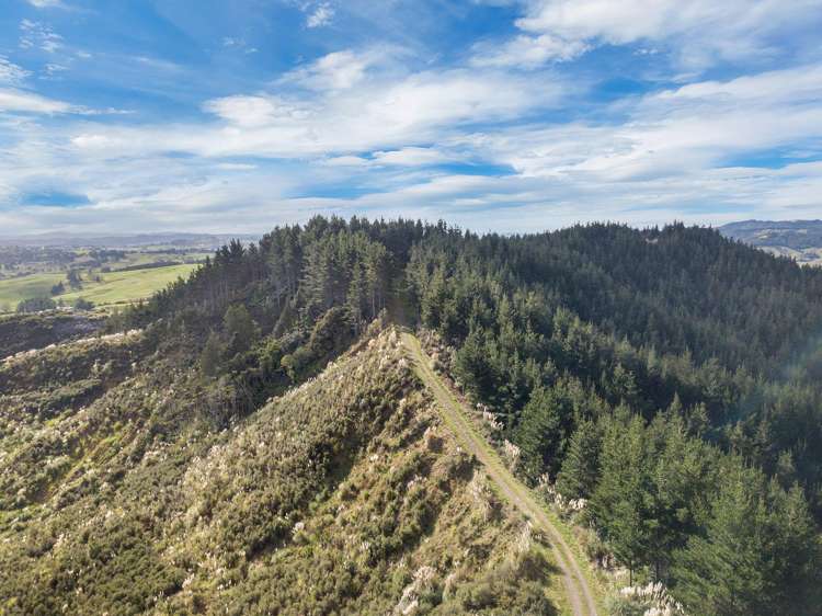 SH 1 Wayby Wellsford_6