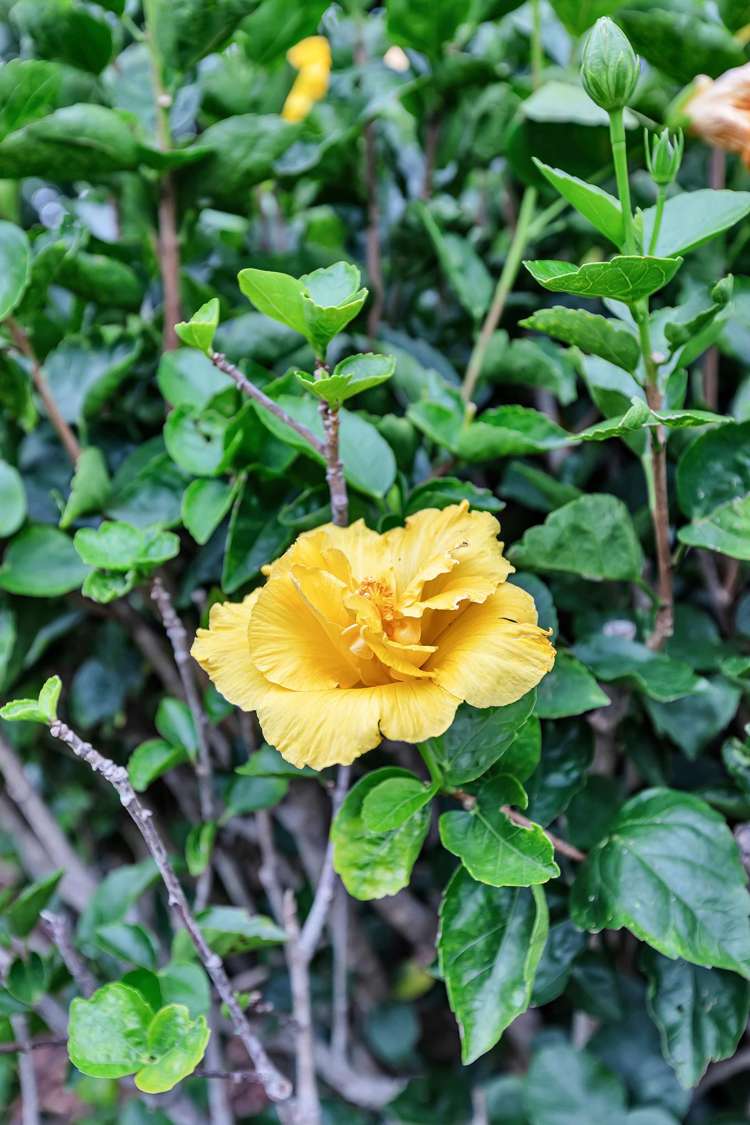 4 Reotahi Road Whangarei Heads_35