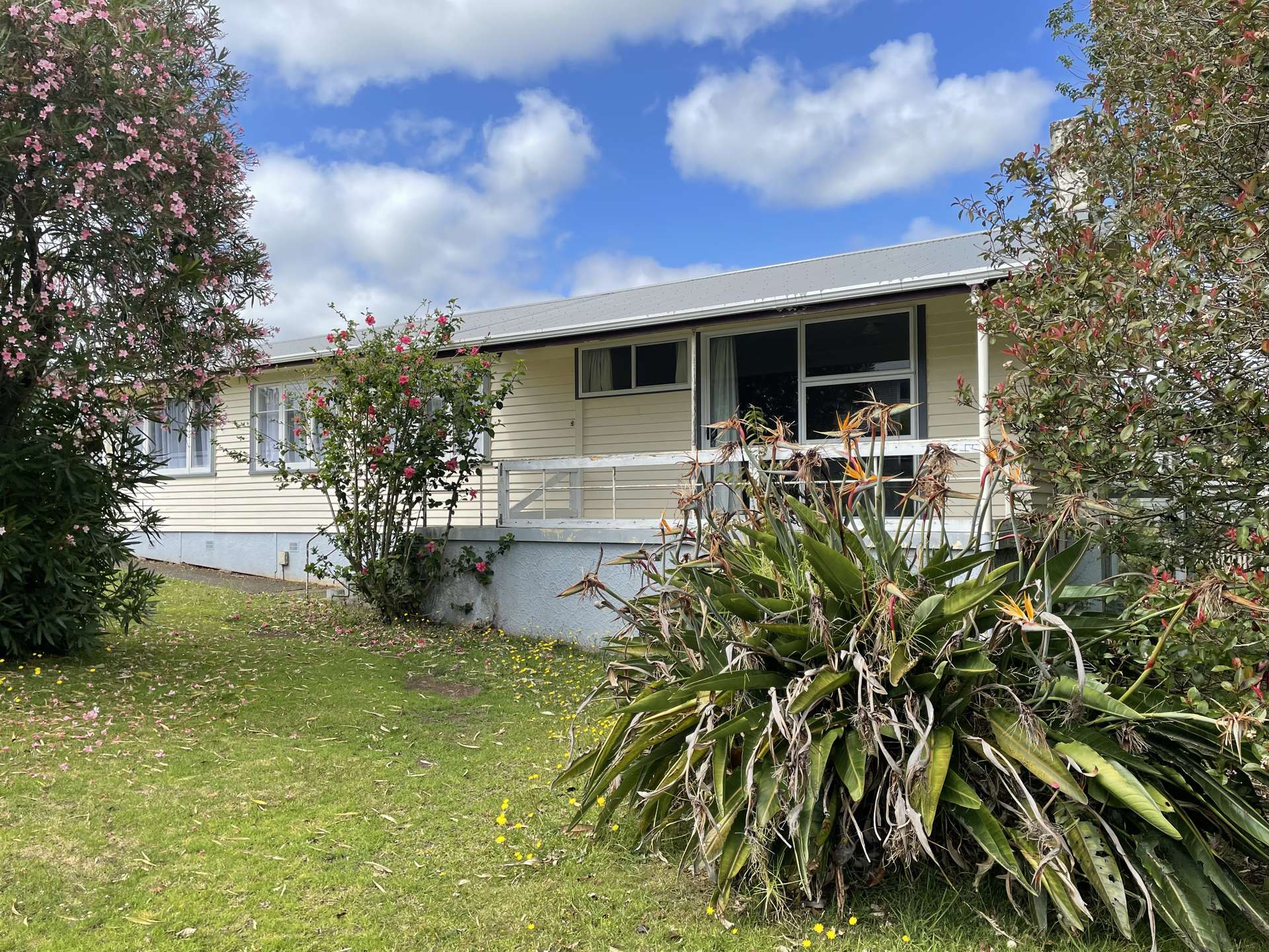 8 Butler Place Te Kamo_0