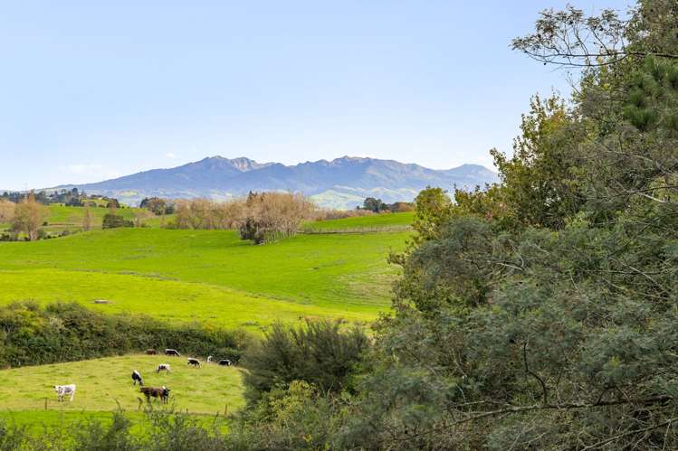 2/24 Clothier Road Waipa_29