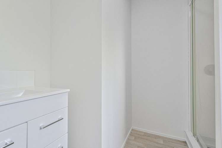 1007c Miro Street Mahora_9