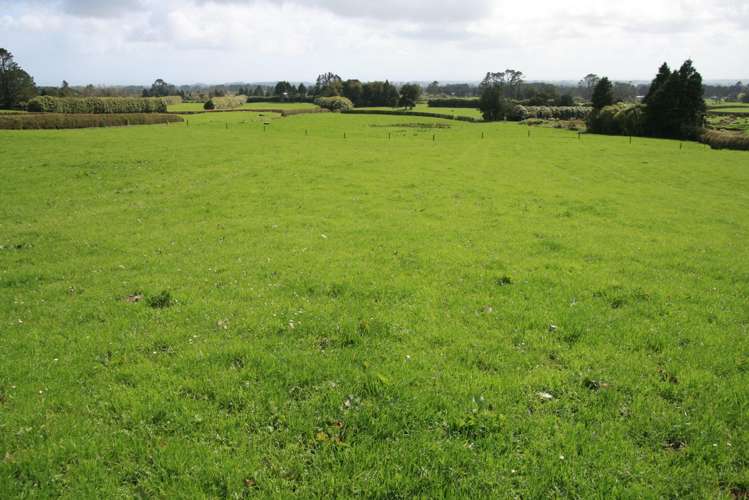 1996 Egmont Road Inglewood_15