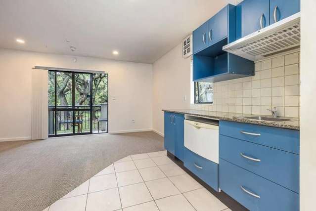 109/20 Upper Queen Street Auckland Central_2