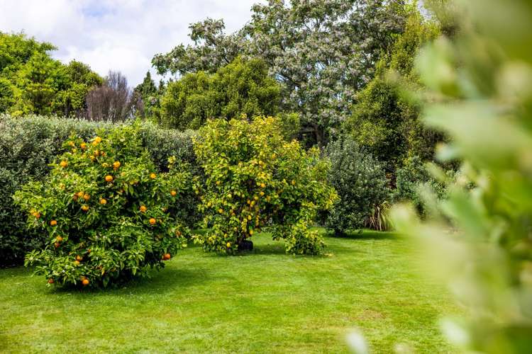 10 Flora Lane Tamahere_27