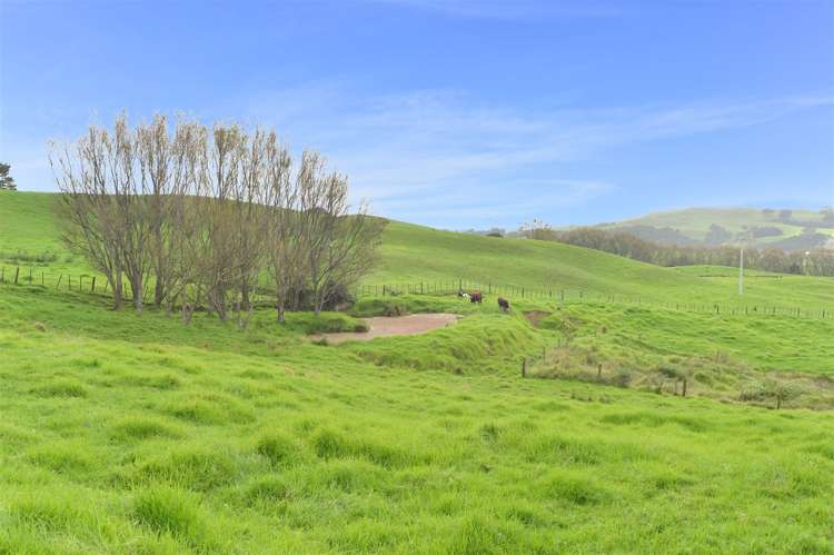 191 Ngatoka Road Mangapai and Surrounds_20