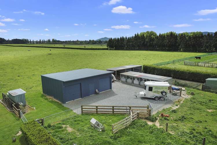 547 Taihoa South Road Matamata_14