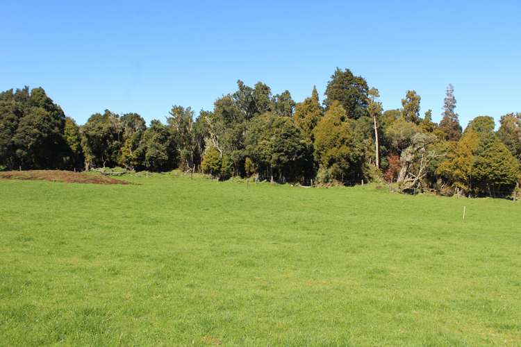 Lot 1/136 Matapuna Road Horopito_8