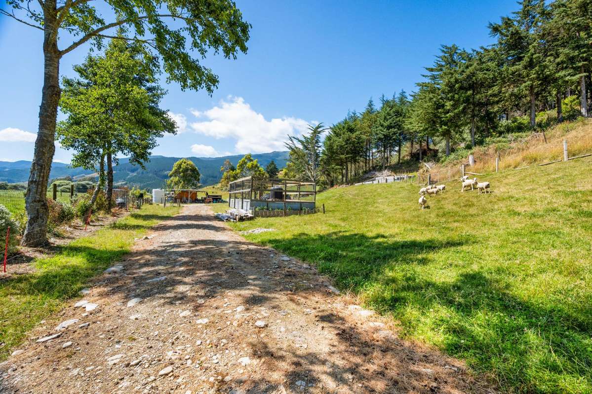 1118 Queen Charlotte Drive_3