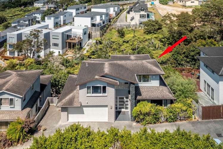 27a The Avenue Albany_1