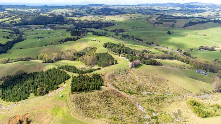 405 Mangawhai Road Wellsford_17