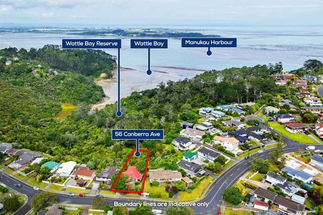 56 Canberra Avenue Lynfield_4