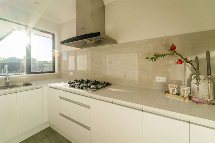 25 Saddleback Green Halswell_7