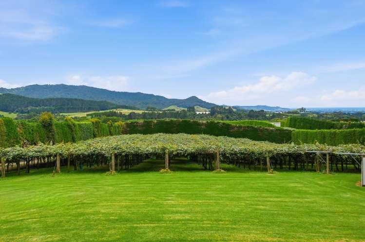 840 No 3 Road Te Puke_7