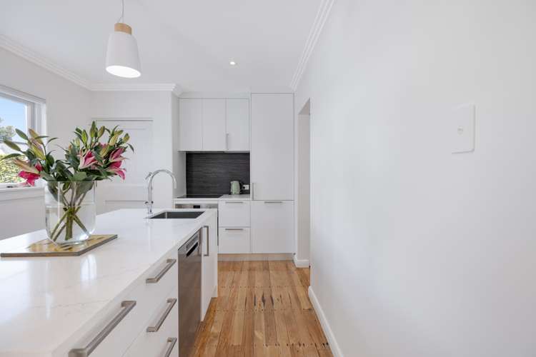 12 Alexander Street Tauranga South_8