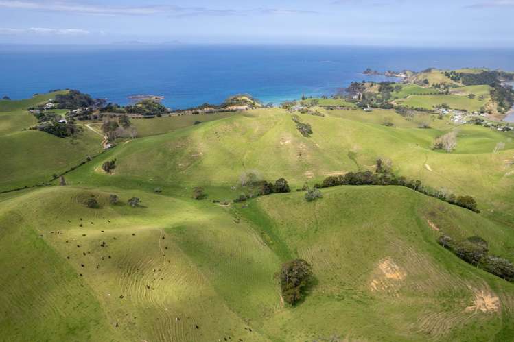 Lot 1 Rockell Road Whananaki_29