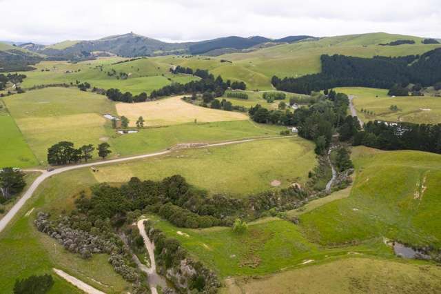 83 Towai Road Dannevirke_1