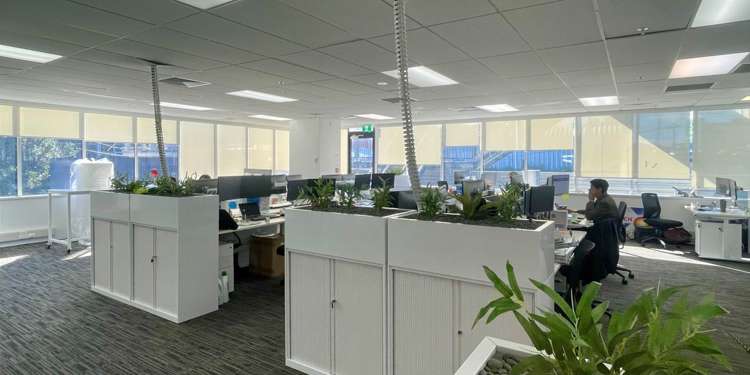 Level 1/2 Fred Thomas Drive Takapuna_5