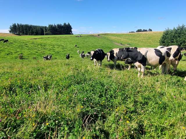 2000 Hillfoot Road Warepa_1