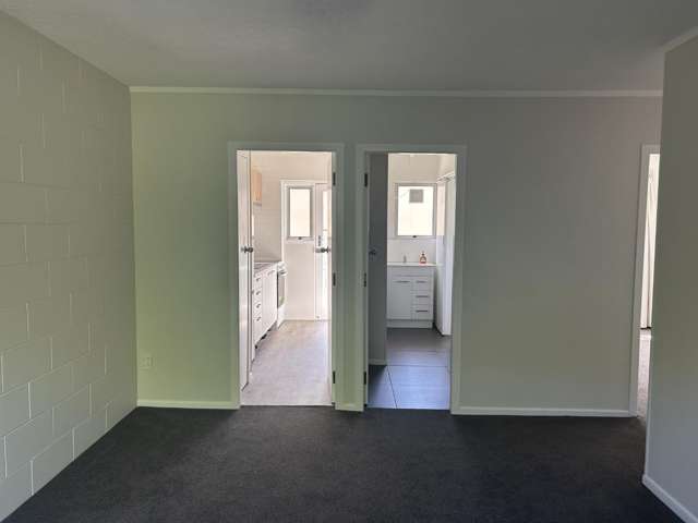 6/289 Ulster Street Whitiora_3