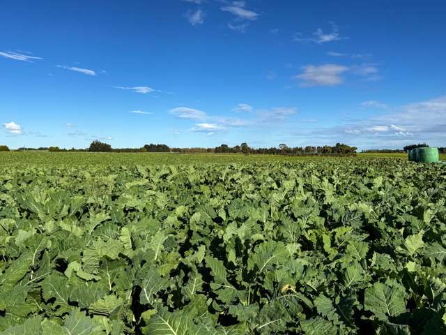 525 Woodlands-Morton Mains Road Morton Mains_3